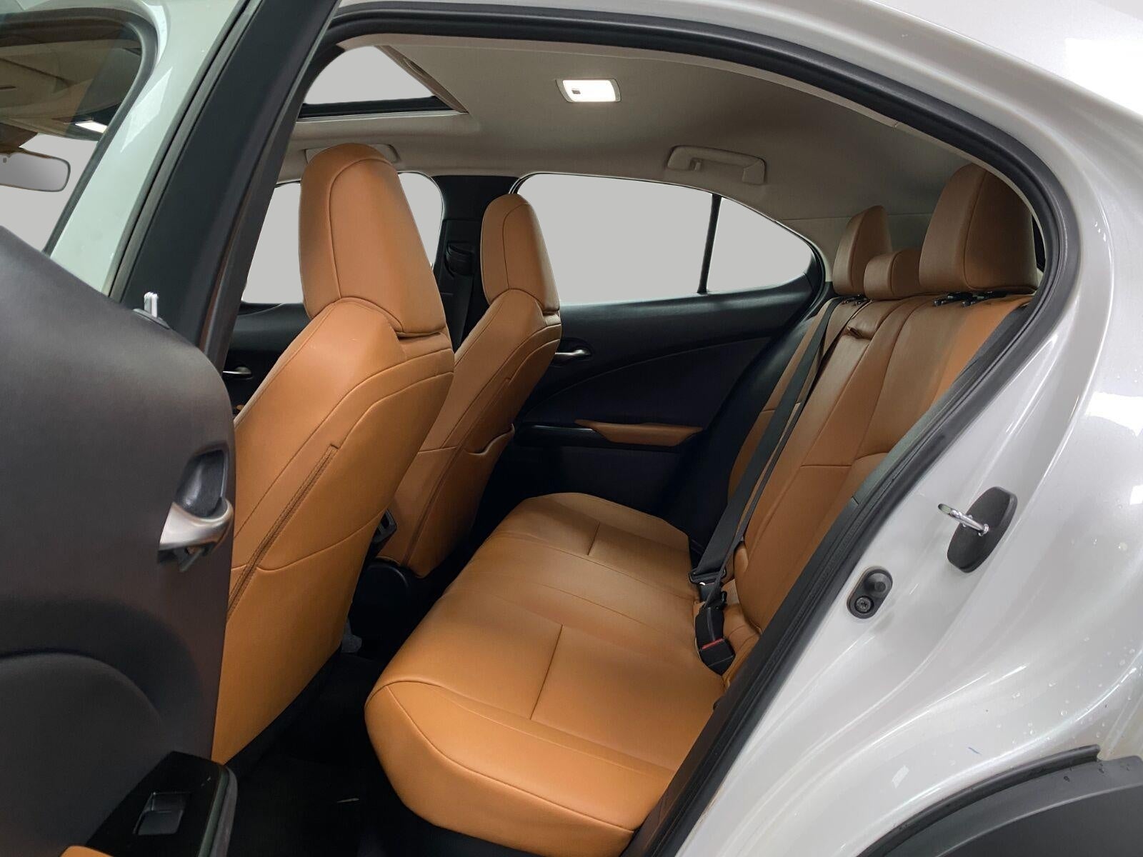 2021 Lexus UX UX 250h AWD