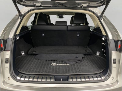 2019 Lexus NX NX 300 AWD